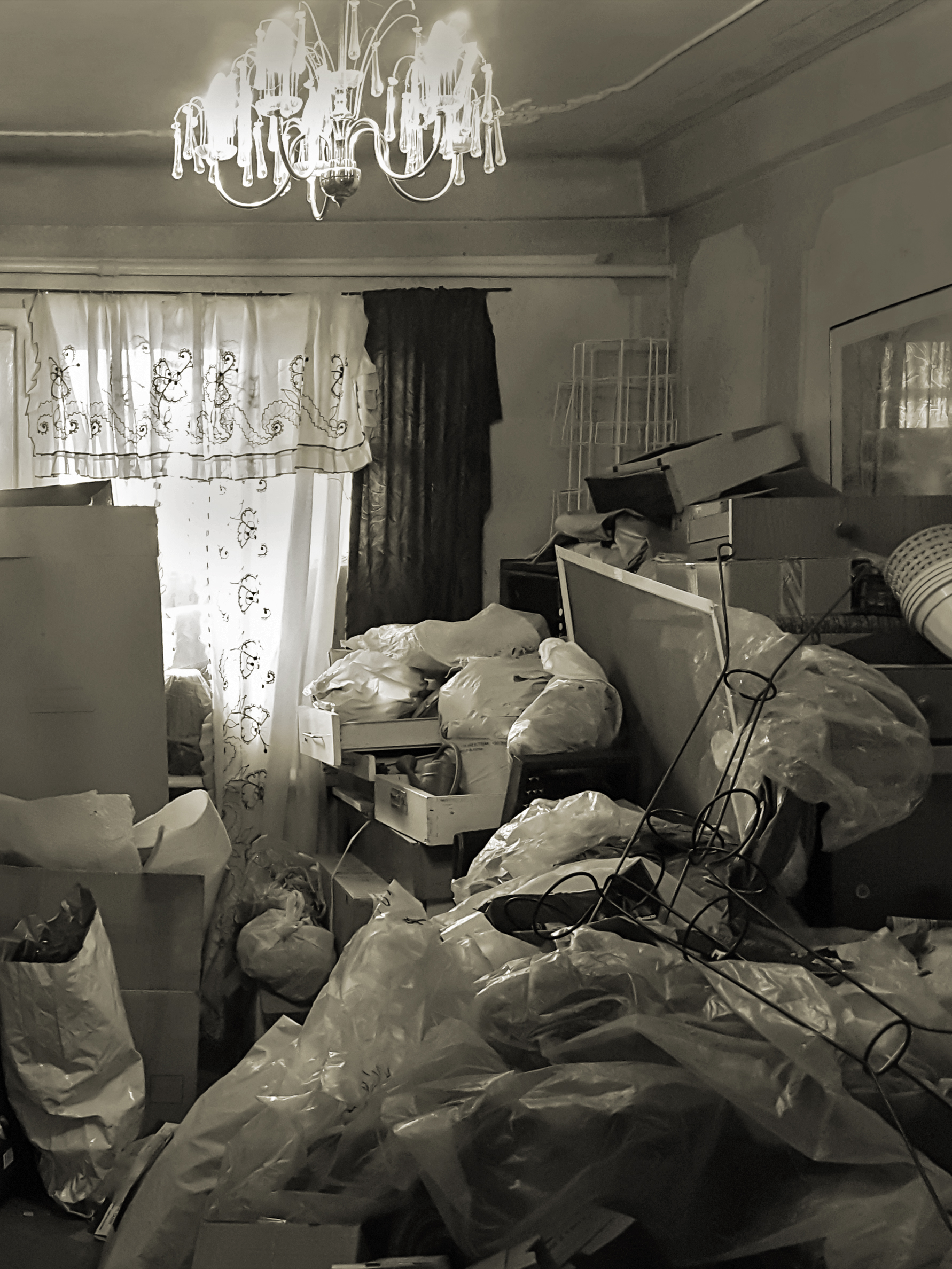 Image of hoarding in a living room