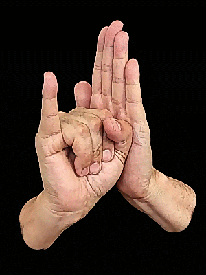 Image of ASL for "identity"