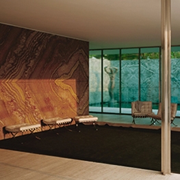 Morning Cleaning, Mies van der Rohe Foundation, Barcelona painting