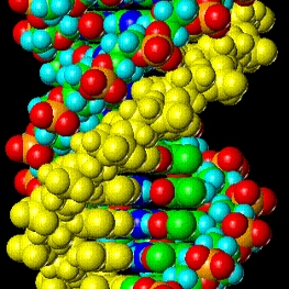 Picture of a molecule