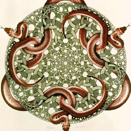 Snakes by M.C. Escher