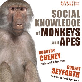The Social Knowledge of Monkeys and Apes Poster